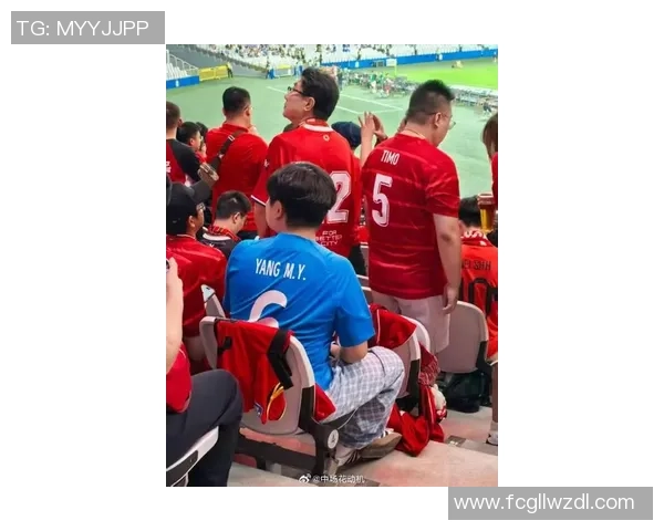 上海排球队状态引发热议球迷对球队表现分歧明显